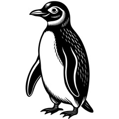 penguin on a white background