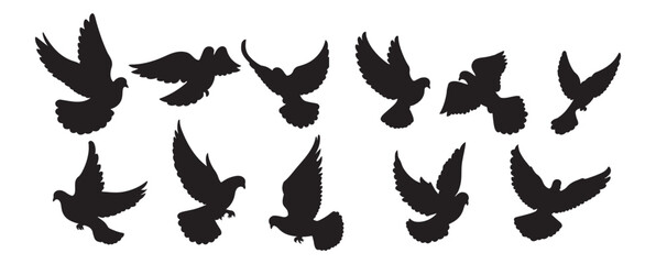  flying dove silhouette vector, Birds icon set, animal vector, Pigeon silhouette | vector silhouette illustration on white background, dove logo vector icon illustration, logo template