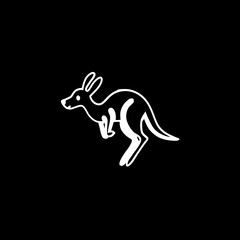 Fototapeta premium Kangaroo