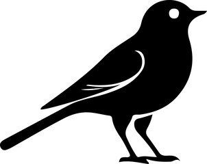 silhouette of a pigeon