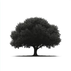 Fototapeta premium Majestic Silhouette of an Oak Tree: A Timeless Nature Illustration