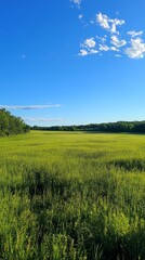 Obraz premium A vibrant green field stretches under a bright blue sky with scattered clouds, capturing the essence of a peaceful countryside landscape.
