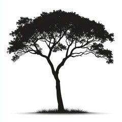 Majestic Tree Silhouette: Elegant Black and White Nature Illustration