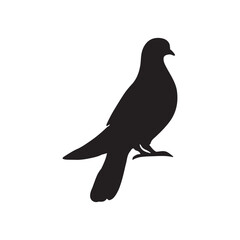  flying dove silhouette vector, Birds icon set, animal vector, Pigeon silhouette | vector silhouette illustration on white background, dove logo vector icon illustration, logo template