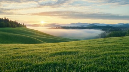 Fototapeta premium Serene Sunrise Over Misty Hills and Lush Green Fields