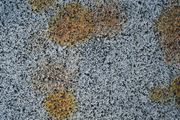 Natural stone surface with unique patterns and textures found in a rocky outdoor area at midday