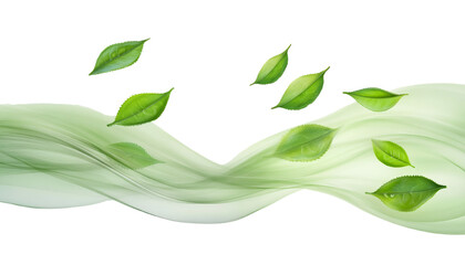 Obraz premium Green tea leaf floating isolated on transparent background