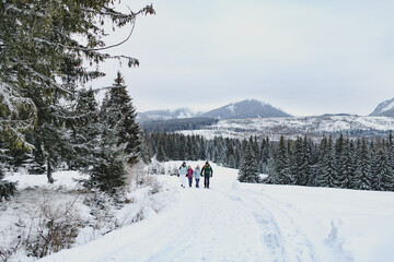 Family walking across snowy winter nature, holding by hands.