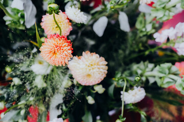 Colorful floral arrangement featuring various blooms in a vibrant display for a cheerful setting