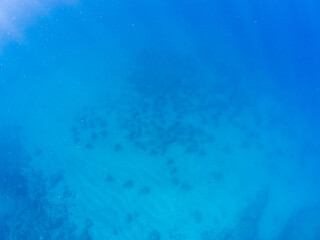 水深20mの水底に置かれている、不思議な三角形の魚礁。
アワビやサザエなどの貝類のものである。

静岡県伊豆半島賀茂郡南伊豆町中木ヒリゾ浜2024年
