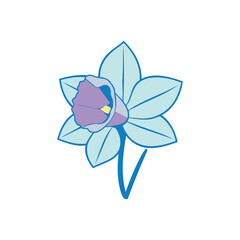 Beautiful Daffodil Flower Illustration for St David’s Day Event Graphics and Decorations