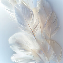 Naklejka premium White Feathers Against a Smooth Background. Generative AI