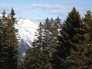 snow covered mountains