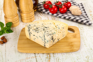 Gourmet blue cheese with mold