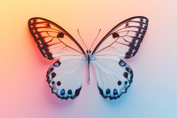 Obraz premium Butterfly with blue and white spots is on a pink background. The butterfly is the main focus of the image