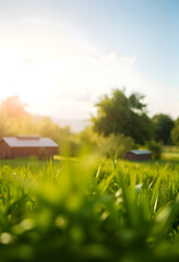 Obraz premium Eco-friendly and environment concept, blurry foreground, with white tones