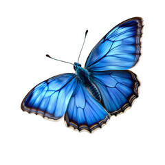 Vibrant Blue Butterfly in Stunning Detail