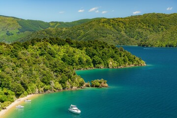 summer is on in the marlborough sounds new zealand