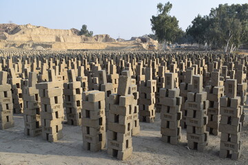 manufacturing mud bricks from clay dated 05-01-2025 Bricks are arranged to dry up in the sunlight at the brick production land. Punjab, Adobe bricks made of mud in Peruvian Andes. Material for house