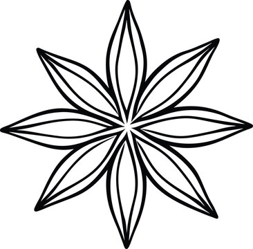 recommend clip art: Anise star spice line art vector herb