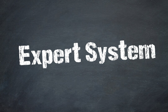 Expert System	
