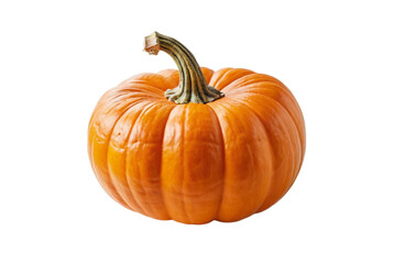 Pumpkin Png Image