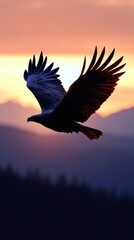 A large eagle is flying in the sky with a beautiful sunset in the background. Concept of freedom and majesty, as the eagle soars through the air with grace and power