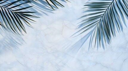 palm leaves shadows on blue marble texture - minimalism