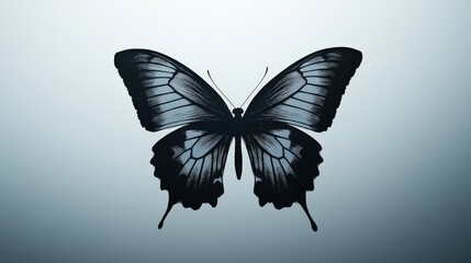 A striking black butterfly silhouette against a soft gradient background, symbolizing beauty and transformation.