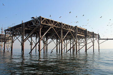 Fototapeta premium Baltiysk. Baltic Sea.