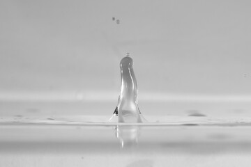 wasser tropfen spritzen spritzer schwarzweiß