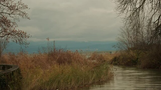 Establishing shot of lake Geneva and reeds in Morges in Canton of Vaud Switzerland