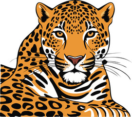 leopard vector illustration white background	