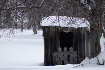 K&auml;lberunterstand auf der Weide