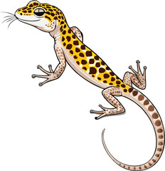 leopard gecko vector illustration white background