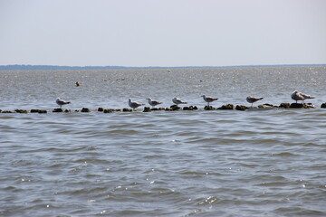 Baltiysk. Baltic Sea.