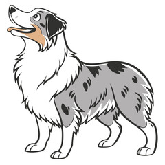 Miniature American Shepherd Dog Vector