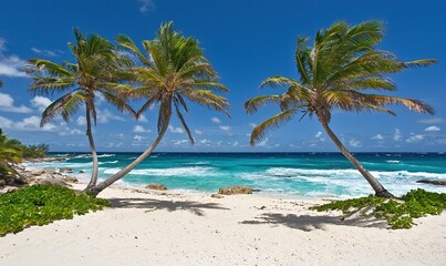 Fototapeta premium Tropical beach with palm trees, white sand, turquoise water, and blue sky. Ideal for travel ads.