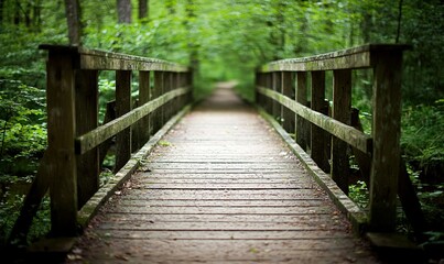 Fototapeta premium Wooden bridge path in lush green forest, ideal for nature walks, tranquility, and escape.
