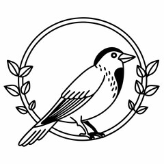 bird illustration