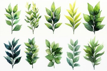 A collection of various green leaves illustrated in different styles and shades.