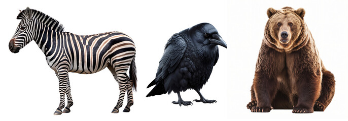 Obraz premium a trio of animals presented in a linear arrangement