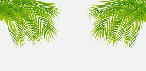 Fototapeta premium Green Leaf background