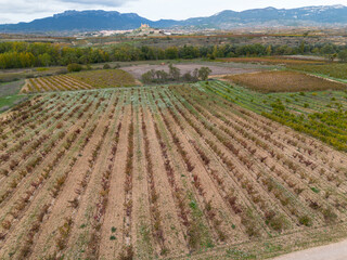 Breathtaking view of rolling vineyards under a distant castle backdrop, showcasing the beauty of nature and historical architecture in harmonized landscapes in La Rioja Spain