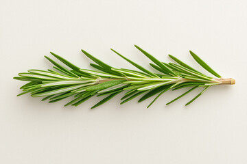 Fototapeta premium Rosemary Sprig on White Background