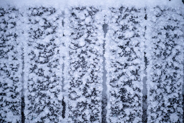 Snow-covered wooden planks with intricate frost details, natural texture, winter background, concept of cold and seasonal weather