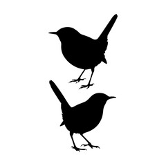 Two wren bird silhouette vector illustration design on white background.