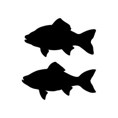 Two walleye fishing silhouette vector illustration design on white background.