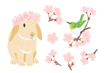桜の花とウサギ・メジロ