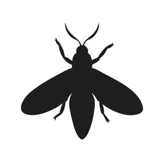 silhouette of a butterfly